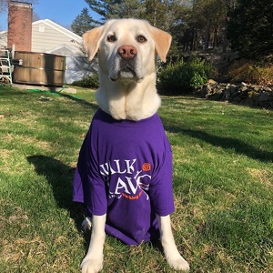 Team Page: Team Gaddis